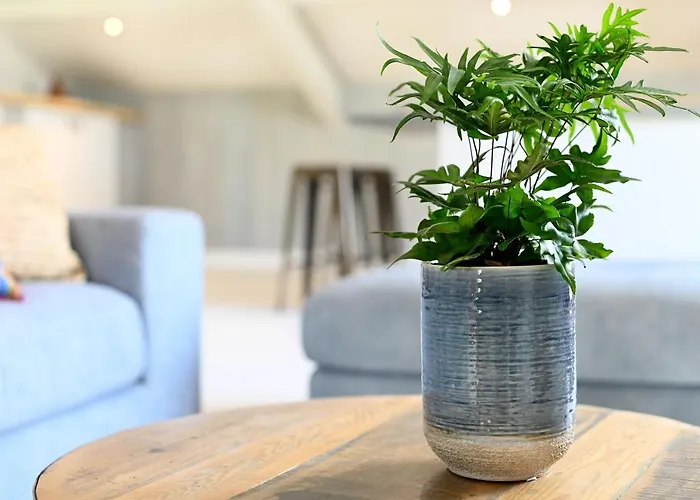 Loft In De Polder Apartment Grootschermer
