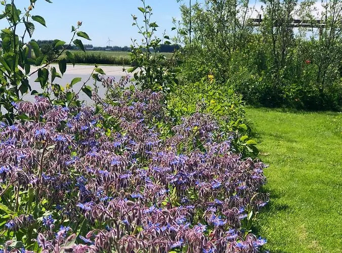 Loft In De Polder Apartment *