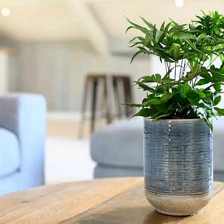 Loft In De Polder Lejlighed Grootschermer