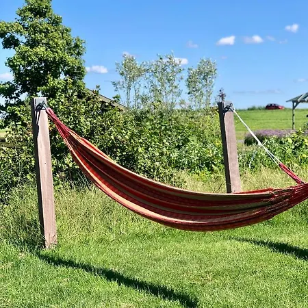 Loft In De Polder Lejlighed Grootschermer