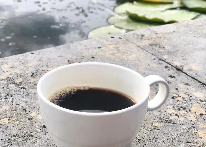 Loft In De Polder Апартаменты