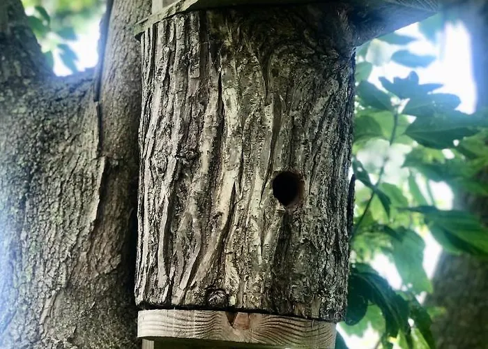 Апартаменты Loft In De Polder Grootschermer